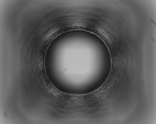 X0000097901015200803141350