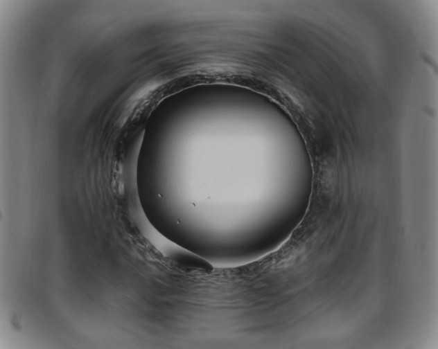 X0000097901016200803141350