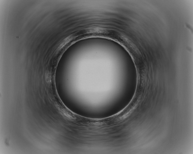 X0000097901017200803141350