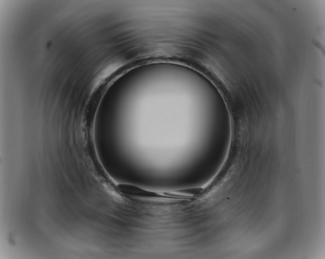X0000097901018200803141350