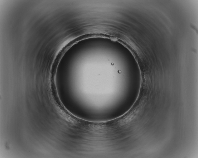 X0000097901020200803141350