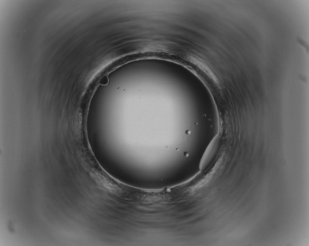 X0000097901021200803141350
