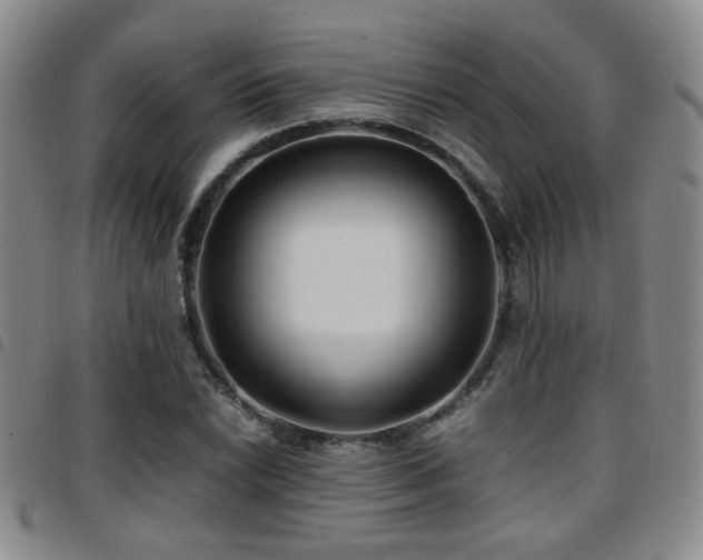 X0000097901022200803141350