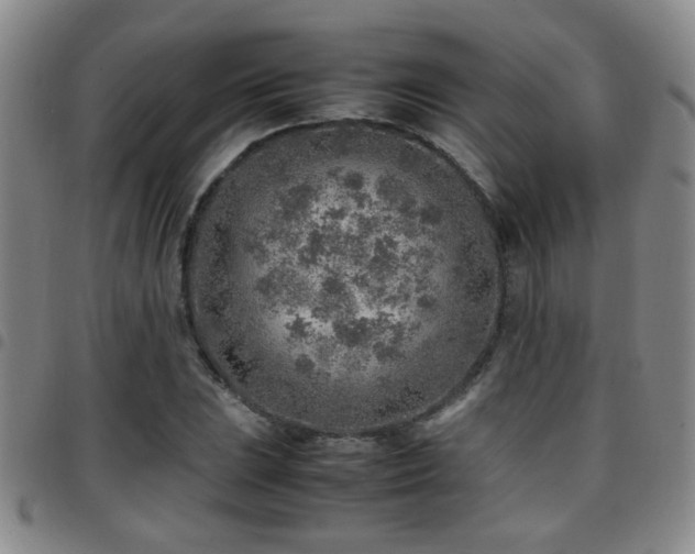 X0000097901023200803141350