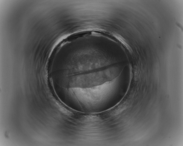 X0000097901024200803141350