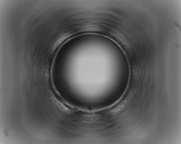 X0000097901025200803141350