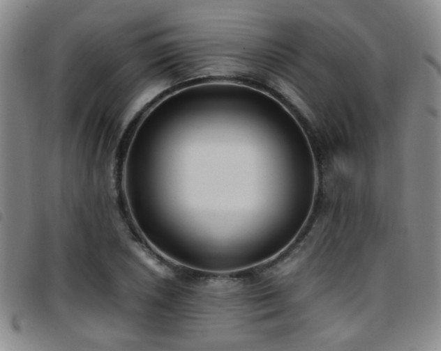X0000097901026200803141350