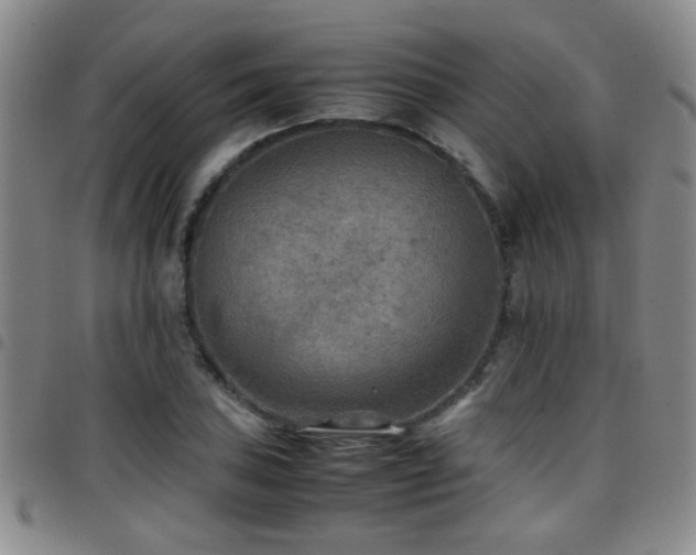 X0000097901027200803141350