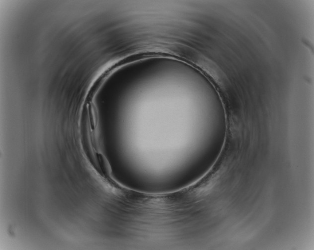 X0000097901028200803141350