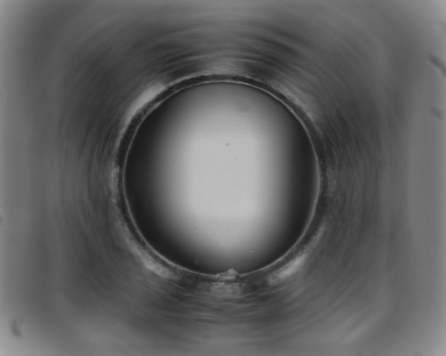 X0000097901029200803141350