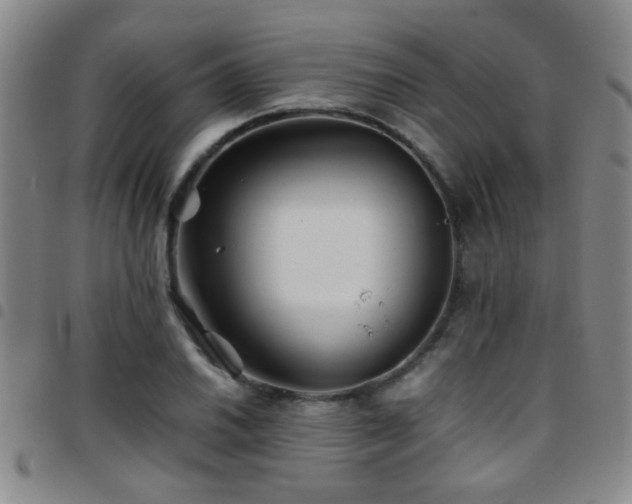 X0000097901030200803141350