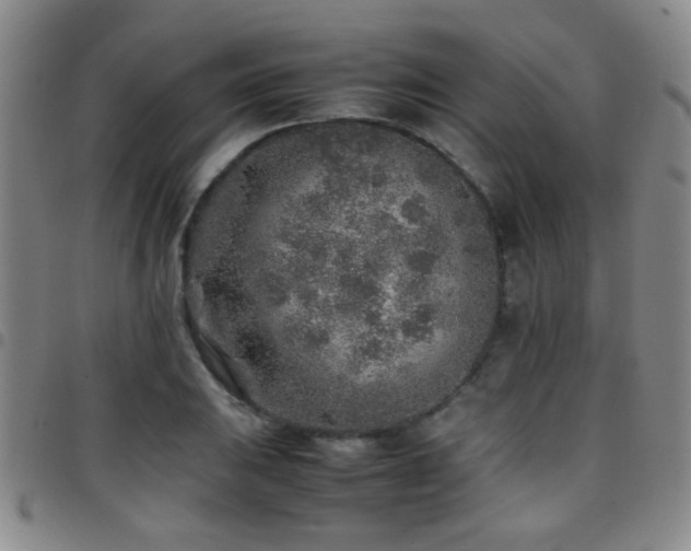 X0000097901031200803141350