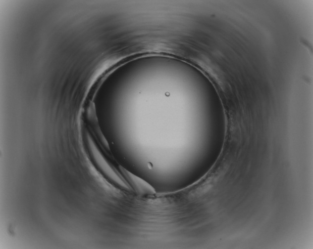 X0000097901032200803141350