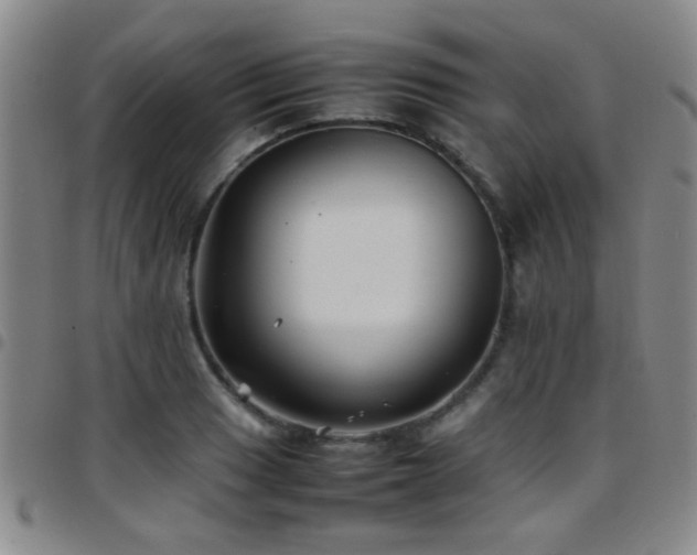 X0000097901033200803141350