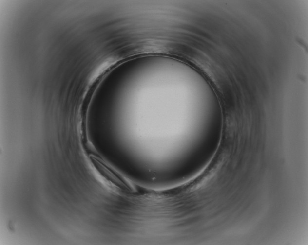 X0000097901034200803141350