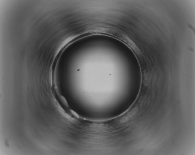 X0000097901036200803141350