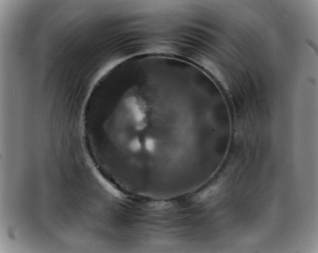 X0000097901037200803141350