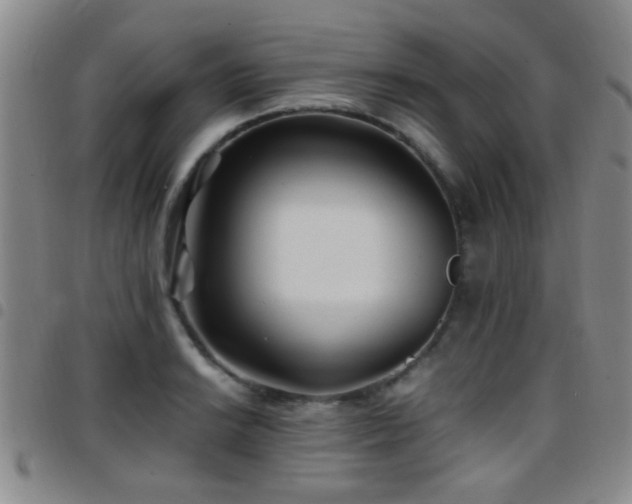 X0000097901038200803141350