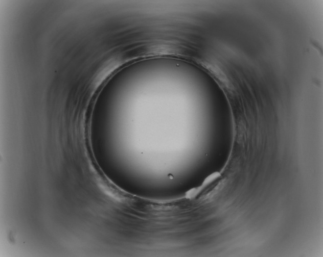 X0000097901039200803141350