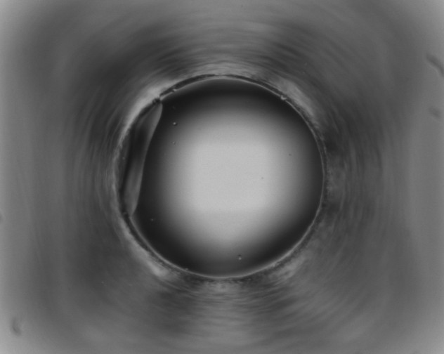 X0000097901040200803141350
