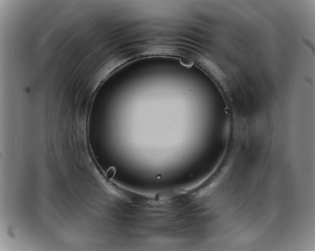 X0000097901041200803141350