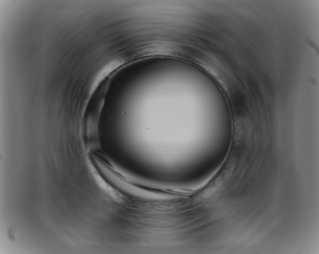 X0000097901042200803141350