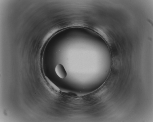 X0000097901043200803141350