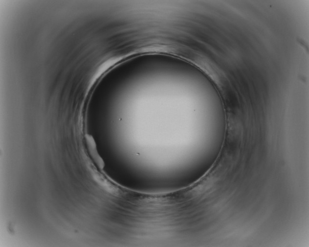 X0000097901044200803141350