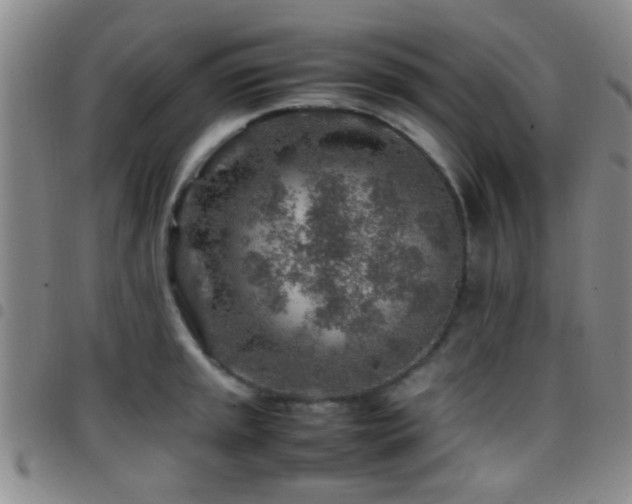 X0000097901045200803141350
