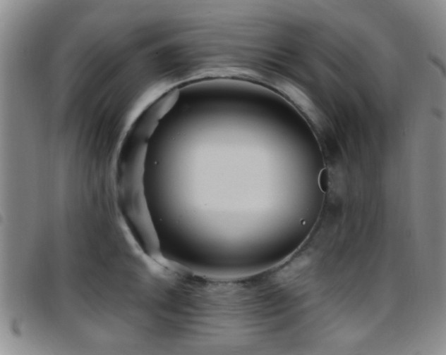 X0000097901046200803141350