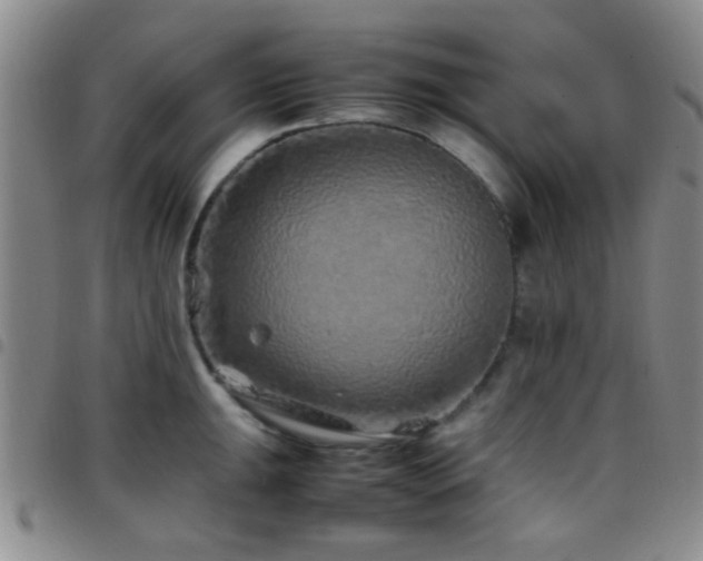 X0000097901047200803141350