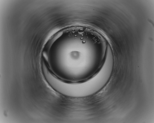 X0000097901048200803141350