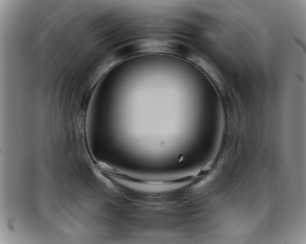 X0000097901049200803141350