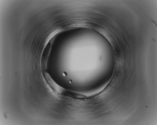 X0000097901050200803141350