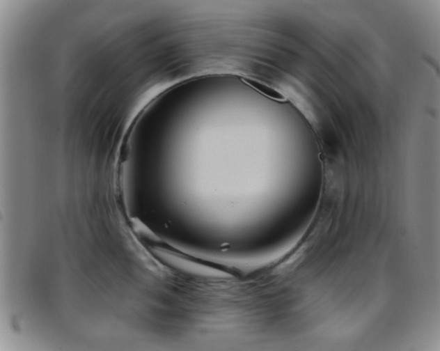 X0000097901052200803141350
