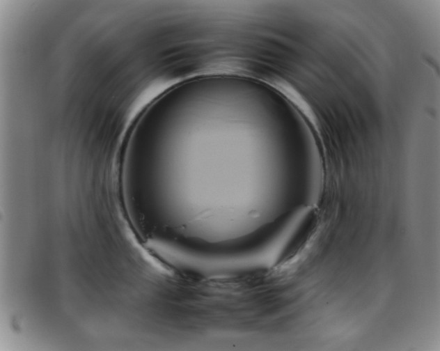 X0000097901053200803141350