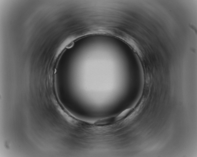 X0000097901054200803141350