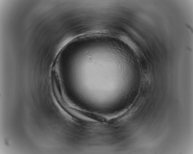 X0000097901055200803141350