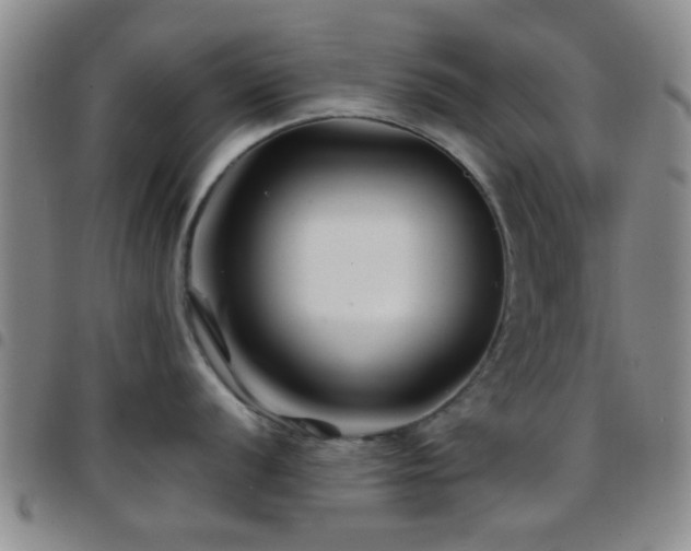 X0000097901056200803141351