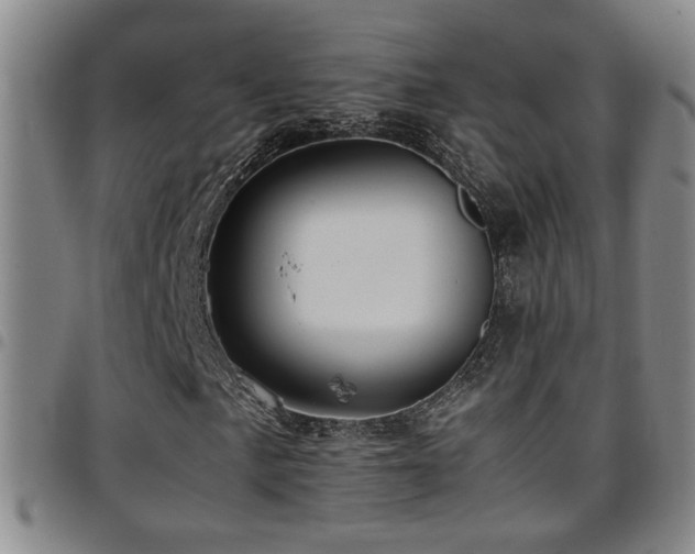 X0000097901057200803141350
