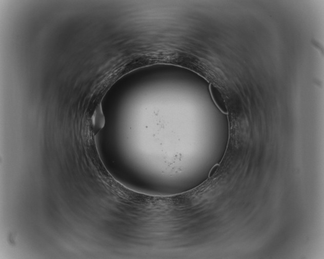 X0000097901058200803141350