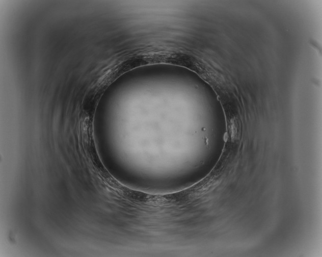 X0000097901059200803141350