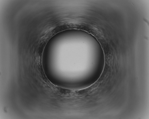 X0000097901061200803141350