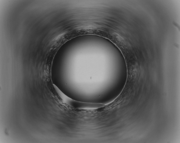 X0000097901062200803141350