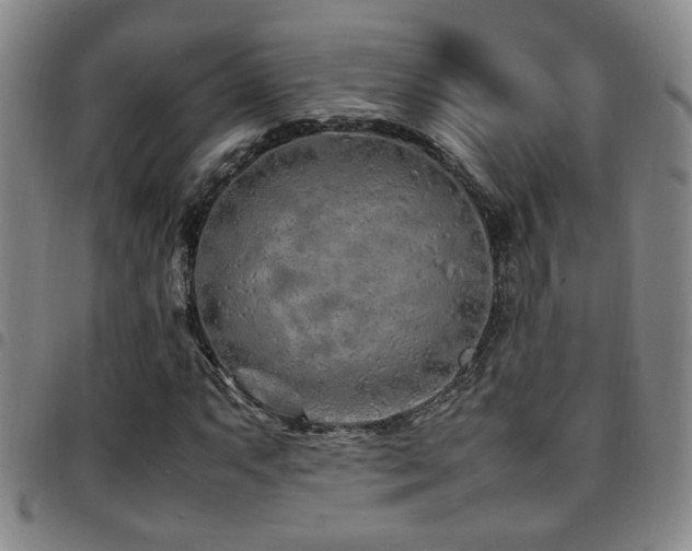 X0000097901063200803141350