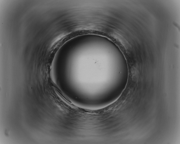 X0000097901064200803141350