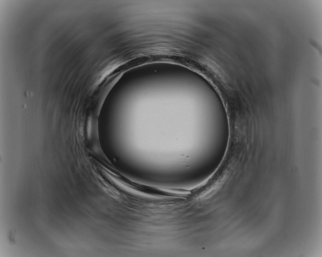 X0000097901065200803141350