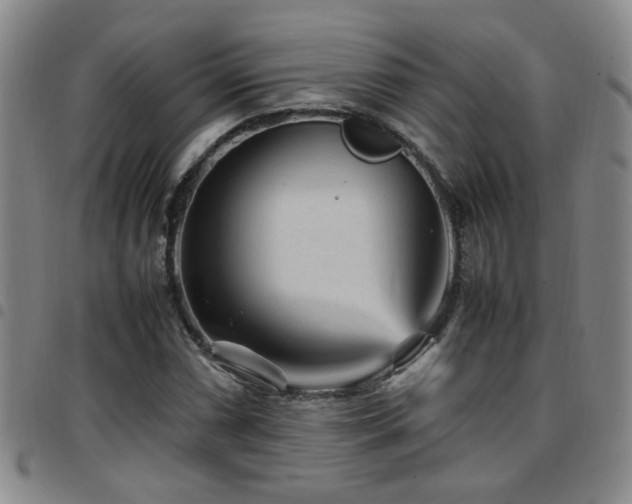 X0000097901066200803141350