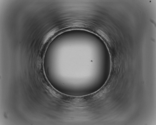 X0000097901067200803141350