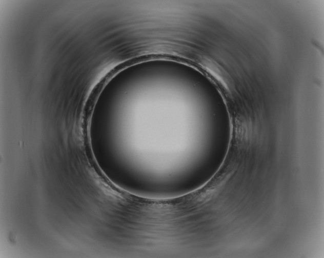 X0000097901068200803141350